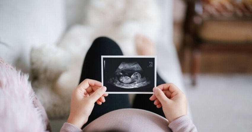 L'Œstrogène, Gardien de la Santé Cérébrale: Une Nouvelle Étude Explore le Lien avec la Maternité