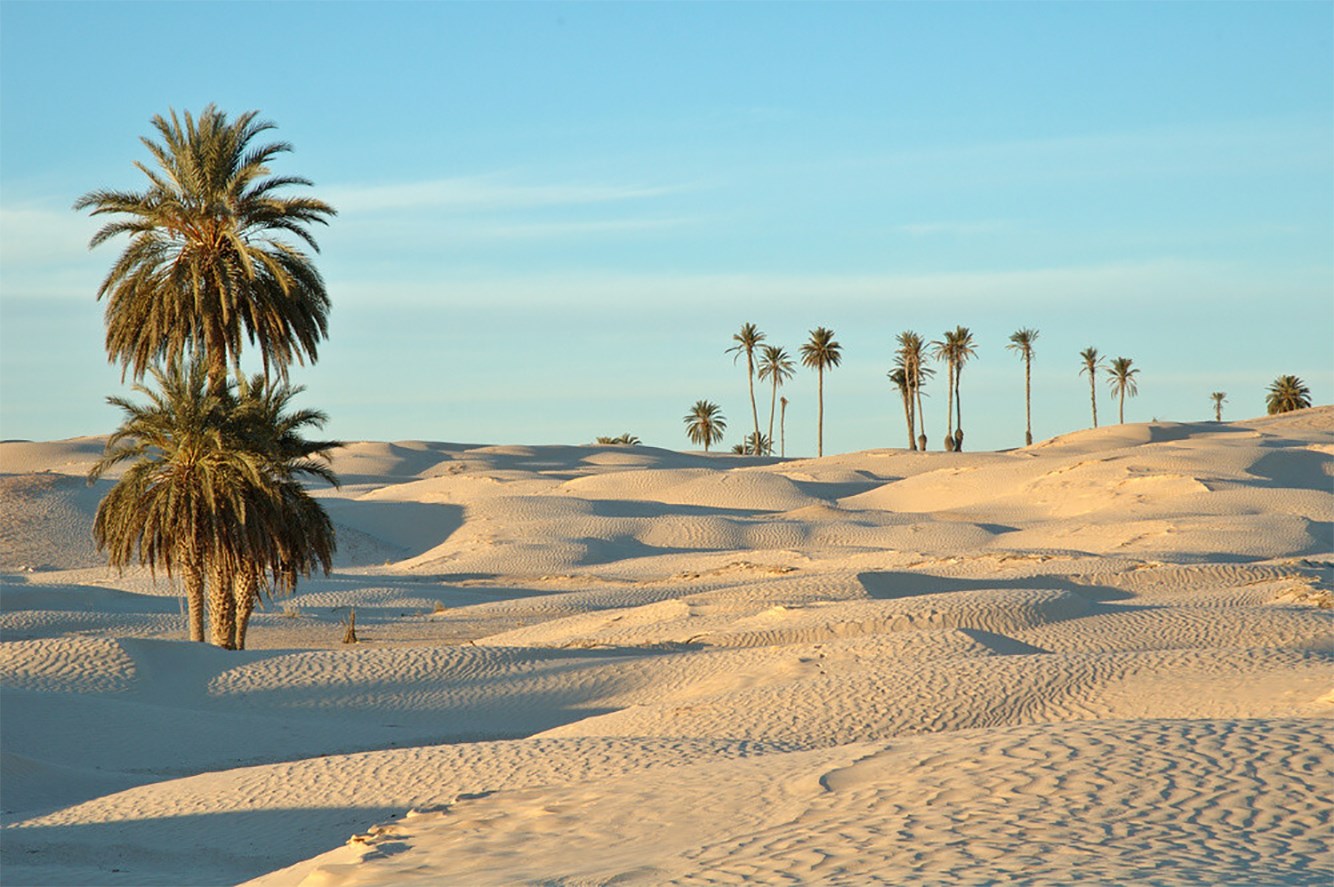خبر سار لتونس: الجنوب يتصدر قائمة أفضل 10 وجهات سياحية في العالم لعام 2024
