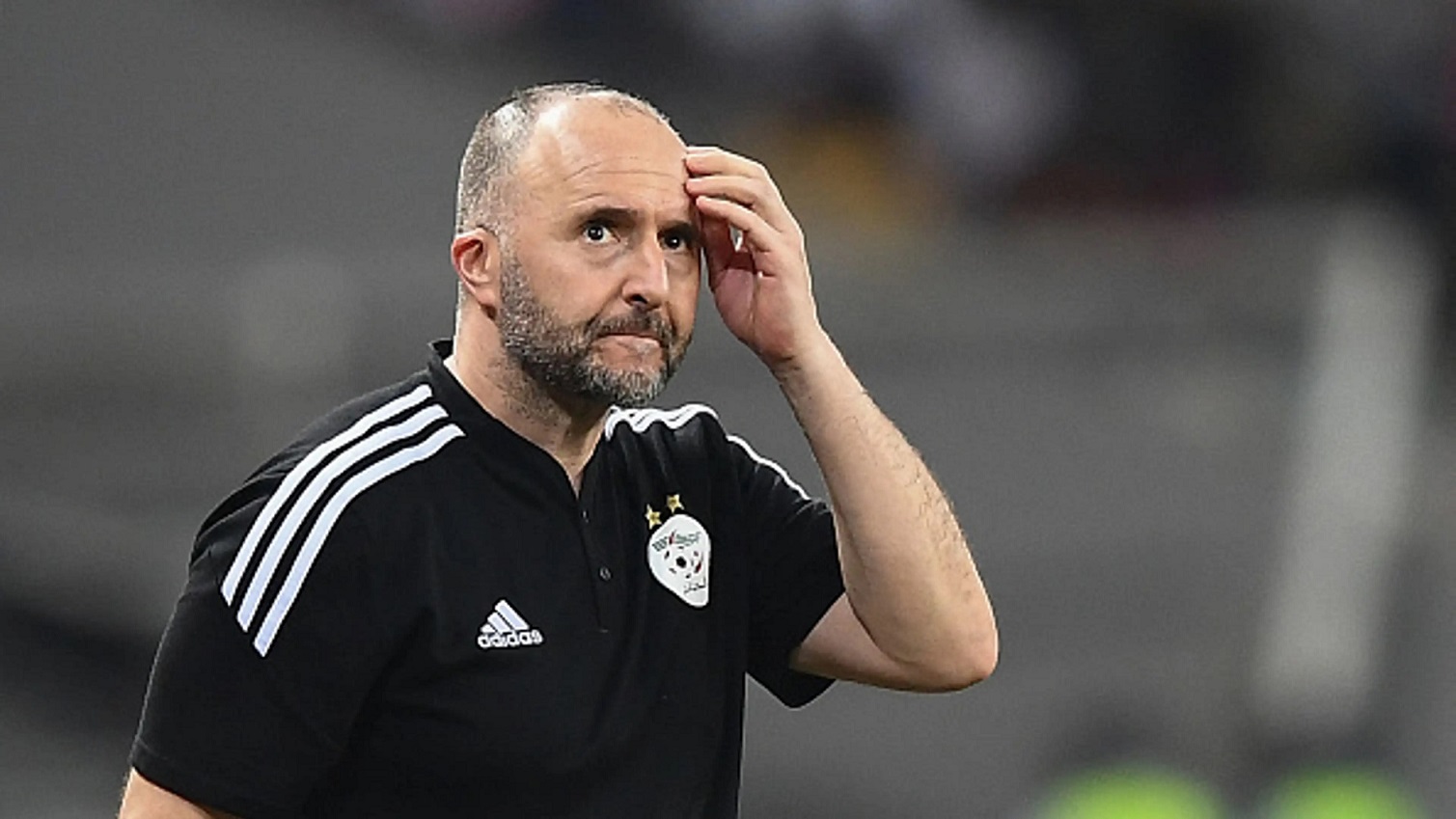 فسخ عقد جمال بلماضي: خيبة للمنتخب الجزائري وبحثاً عن مدرب جديد