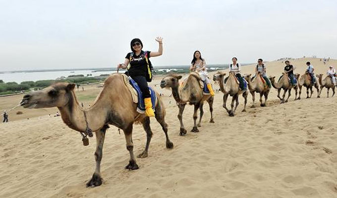 توافد 2822 سائحًا على نزل توزر ليلة رأس السنة الإدارية ونسبة إشغال 86%