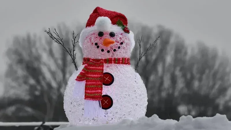 تونس تتجمد.. درجات حرارة منخفضة وأمطار رعدية وثلوج بالمرتفعات