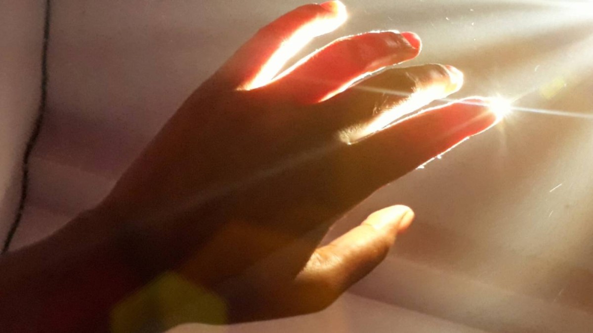 كل كائن حي يتوهج… واختفاء الضوء عند الموت يكشف أسرار الحياة الدقيقة