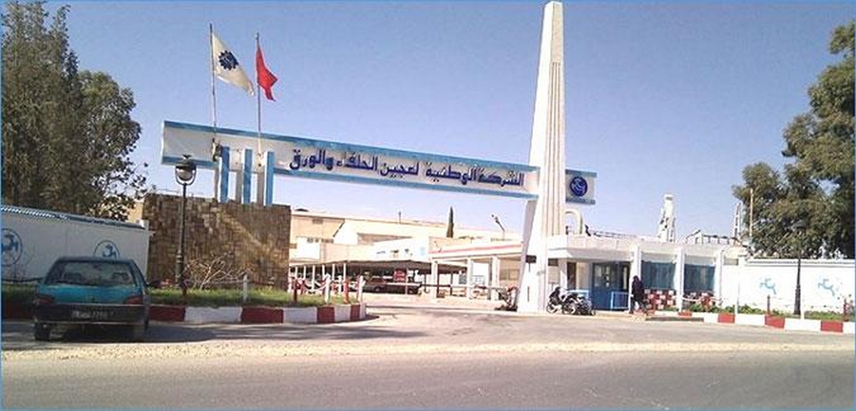 رئيس الجمهورية يجدّد رفضه التفريط في المؤسسات العمومية ويطالب بمكافحة الفساد