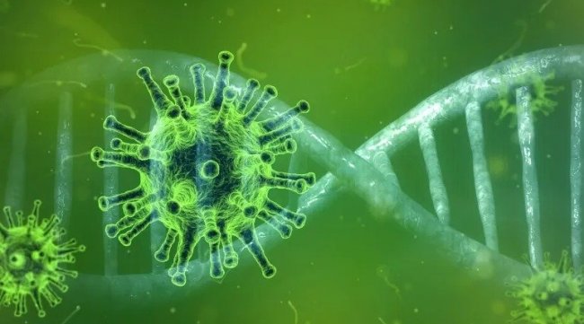 الأستاذ الجامعي محجوب العوني يكشف عن الفيروسات المنتشرة في تونس خلال فصل الشتاء