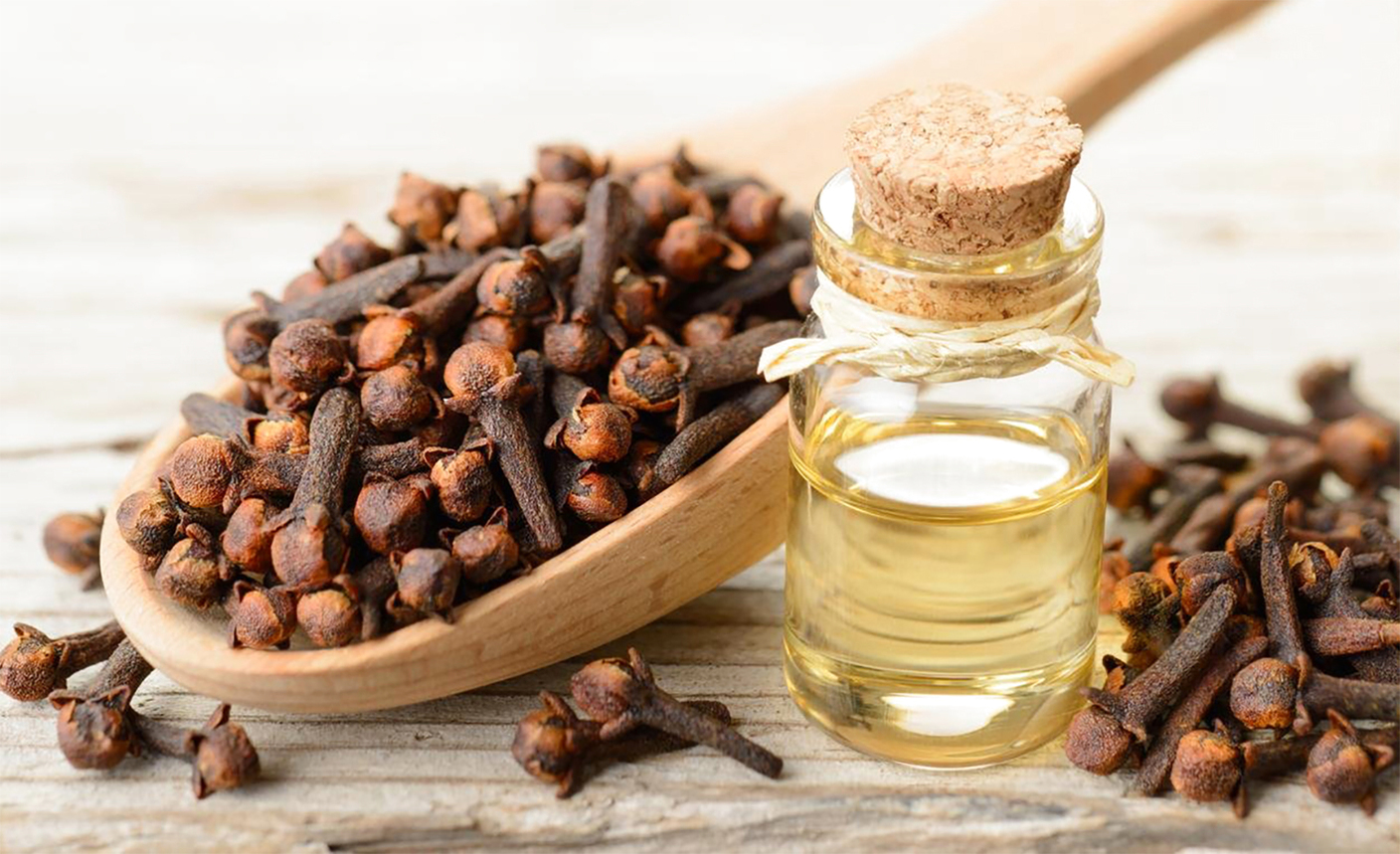 فوائد زيت القرنفل للصداع