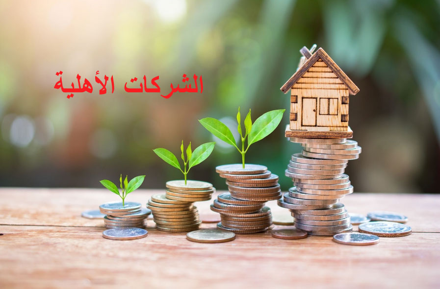 الشركات الأهلية في تونس: بين تشجيع السلطة التنفيذية وعزوف المنظومة البنكية