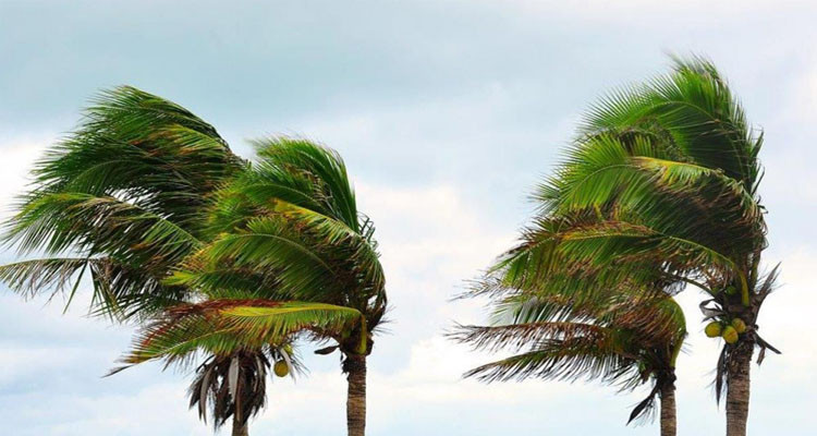 أحوال جوية ليلة الأحد وفق المعهد الوطني للرصد الجوي