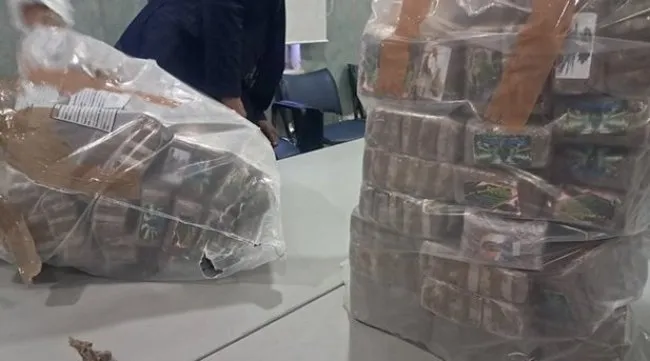 ألمانيا ترحل 498 مهاجراً إلى تونس في 2025 ضمن موجة ترحيلات واسعة