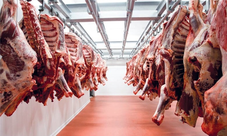 شركة اللحوم تفتح 15 نقطة بيع جديدة وتعلن عن فرص عمل للشباب