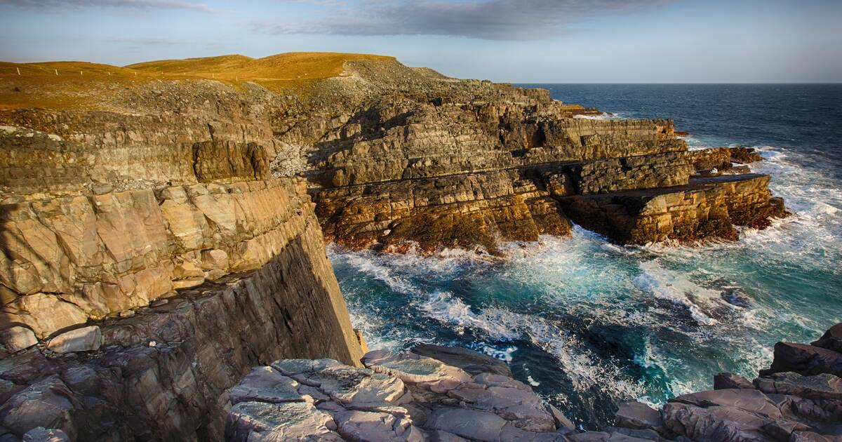 لغز عمره 550 مليون سنة… هل شهدت الأرض أول انقراض جماعي أعنف مما تصور العلماء؟