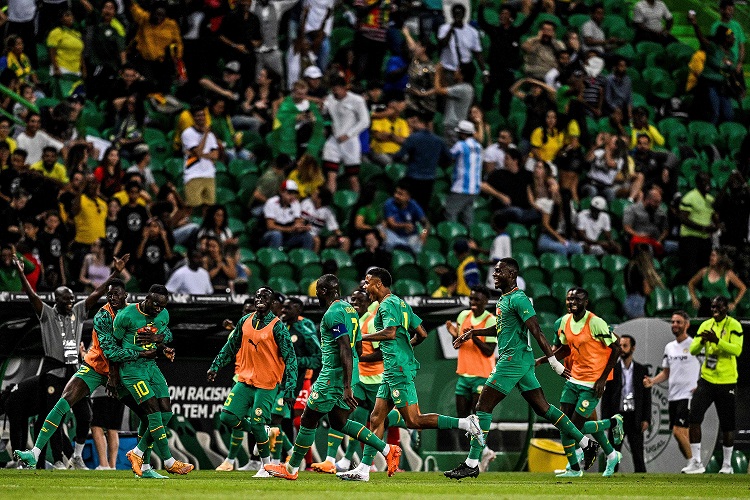 فوز أسود التيرينغا على راقصي الصامبا 4-2 