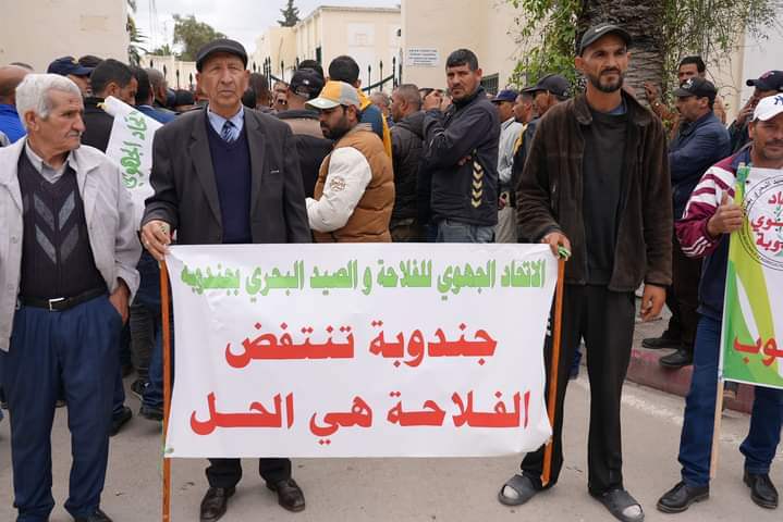 صرخة فلاحي جندوبة: أنقذوا صابة الحبوب قبل فوات الأوان!