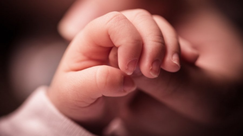 👶💔 رضيع في سلّة على باب منزل بالمروج… تفاصيل صادمة تهزّ الشارع التونسي!
