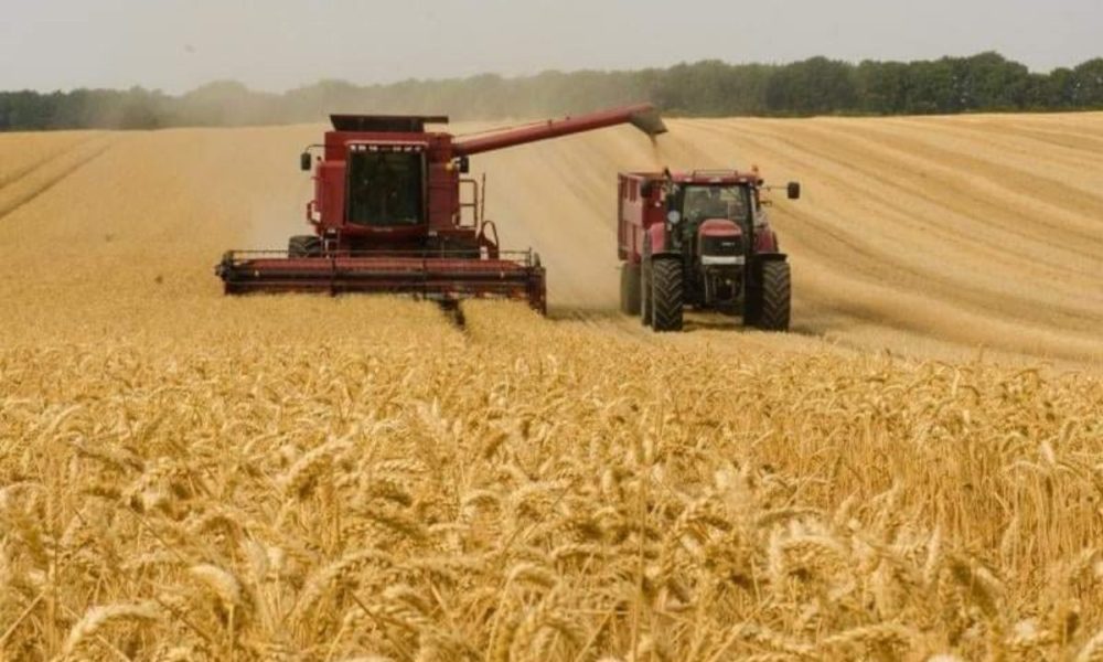 قرارات حكومية مهمة لتعزيز القطاع الفلاحي في البلاد
