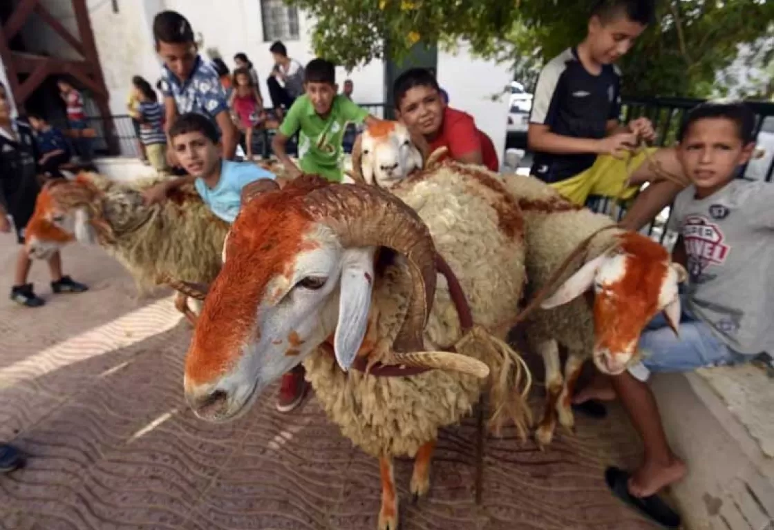 مختصون في علم النفس يدعون لتجنيب الأطفال مشاهدة ذبح الأضحية: ضرورة الإحاطة النفسية والتوجيه الأخلاقي