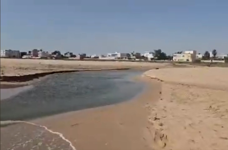 بحر رواد يستغيث.. الوادي الأسود يسكب سمومه في المتوسط وكارثة بيئية تلوح في الأفق