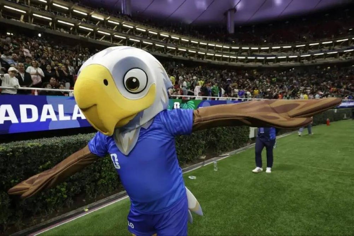 «النوارس المتوقعة»… دراسة طريفة تربط بين تنوع الطيور ونتائج كأس العالم 2026
