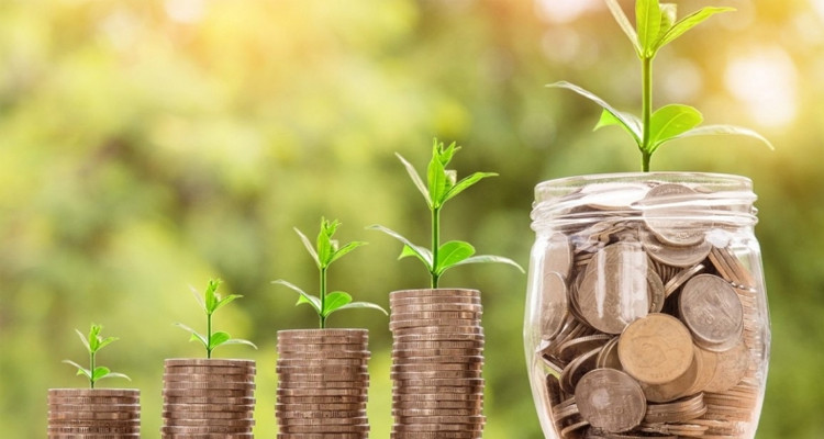 مفتي تونس يعلن نصاب زكاة المال والحبوب والثمار للعام الهجري الجديد