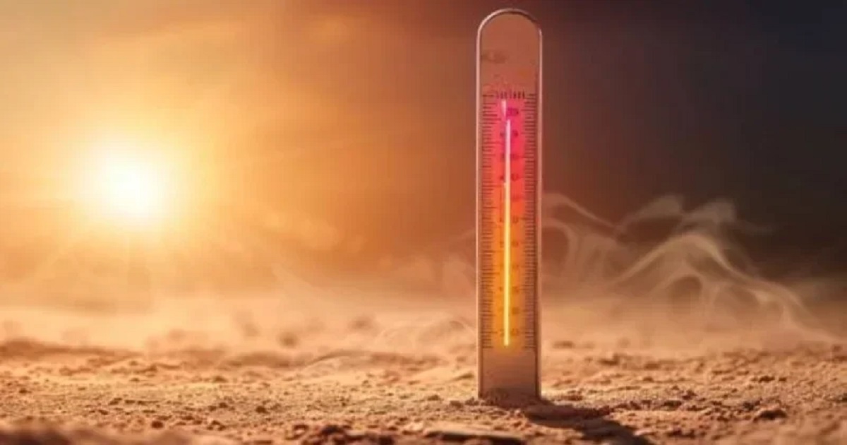 موجة حر تضرب تونس.. المعهد الوطني للرصد الجوي يرفع درجة الإنذار إلى البرتقالي في 10 ولايات