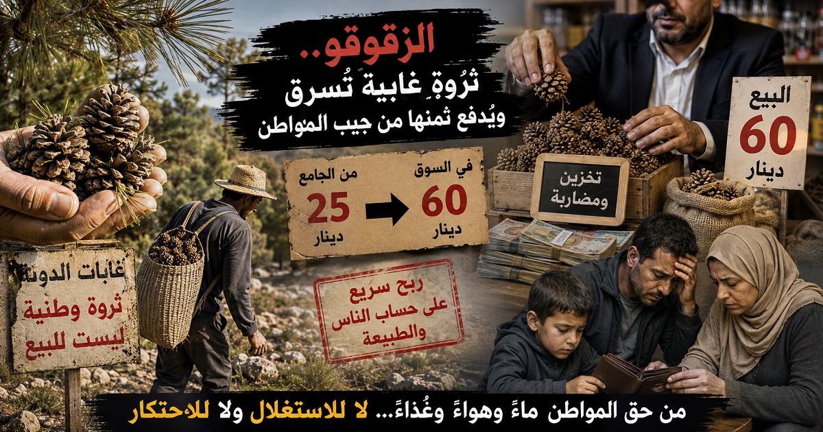 الزقوقو في تونس.. ثروة غابية تُسرق من الدولة ويُدفع ثمنها من جيب المواطن