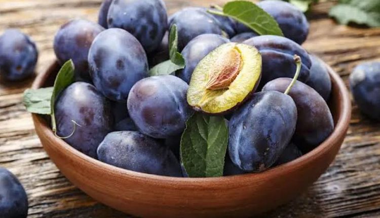 فوائد البرقوق: السر وراء الشباب والذاكرة القوية