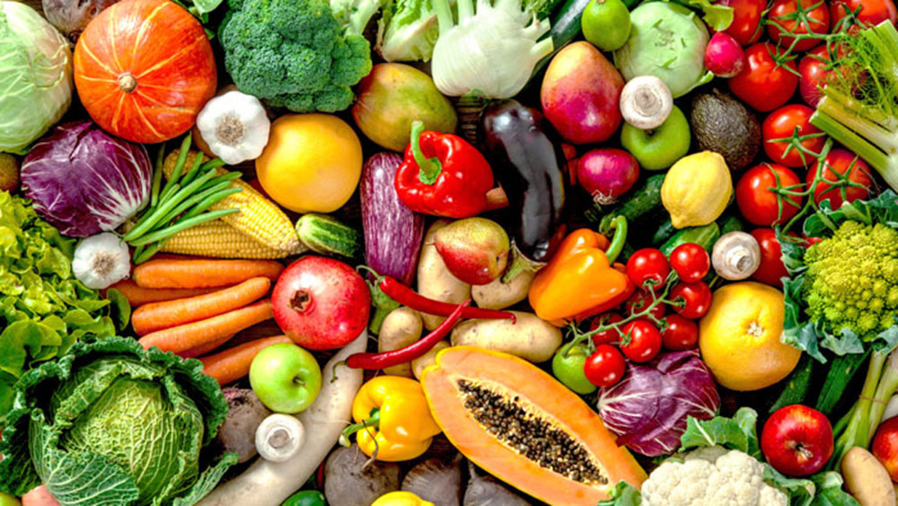خبراء التغذية يؤكدون على أهمية توازن البروتينات والدهون والكربوهيدرات والفيتامينات في النظام الغذائي