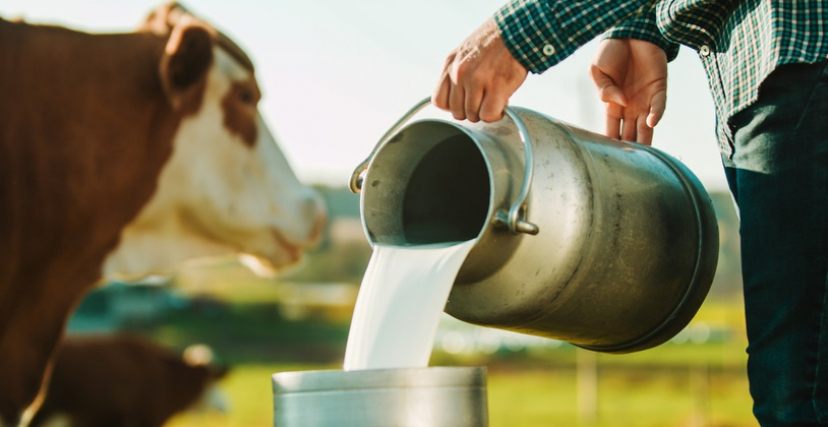 التصدي لظاهرة احتكار المواد الحيوية: حملة وطنية تحقق نجاحاً في مراقبة مصانع الحليب