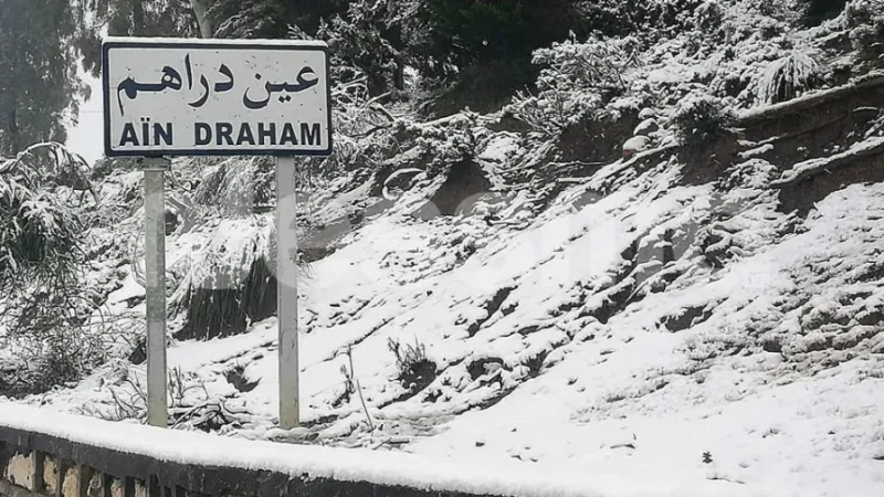 الثلوج تعود إلى عين دراهم… انخفاض كبير في درجات الحرارة وتحذيرات من طقس شديد البرودة