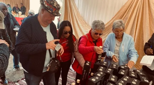 زيت الزيتون التونسي يجذب الأنظار عالميًا… مبادرة سياحية وفلاحية مشتركة تكشف سرّ “الذهب الأخضر” في النفيضة