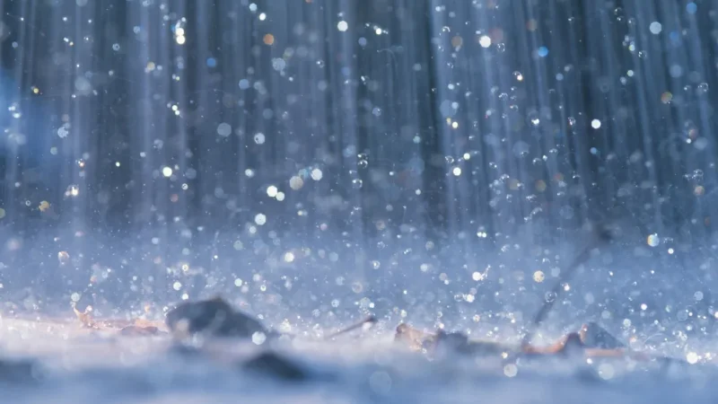 باجة: إيقاف الدروس وتحذيرات من طقس شديد التقلب وثلوج محتملة