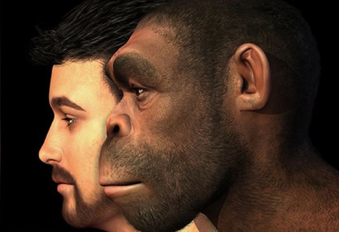 العِلْمُ يَخْتَزِلُ الانسانَ في حَيْوانِيَّتِهِ