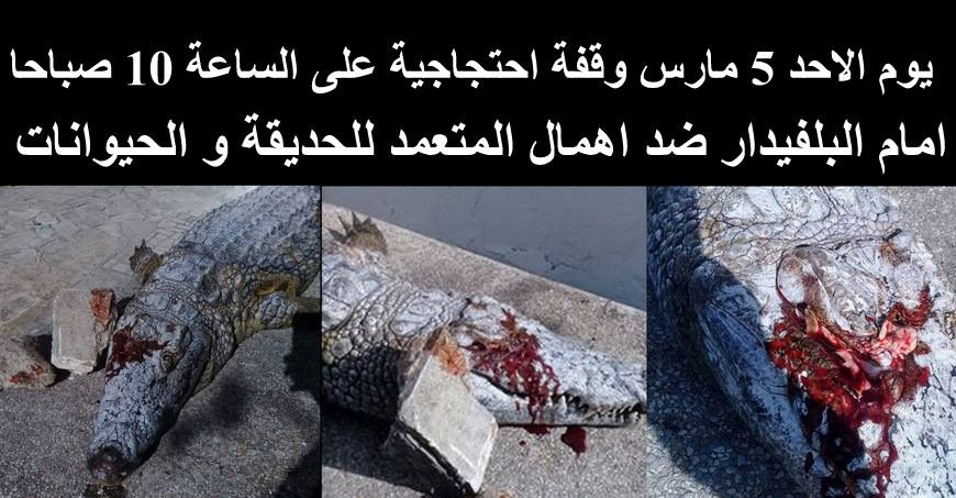 وقفة احتجاجية ينظمها عدد من نشطاء و جمعيات الرفق بالحيوان امام حديقة البلفيدار