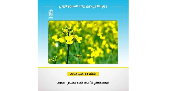 بوسالم: يوم اعلامي تحسيسي حول "زراعة السلجم الزيتي"