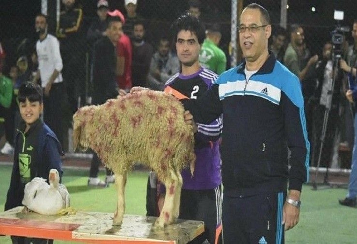 في بطولة لكرة القدم بالعراق: خروف للبطل وبطة لوصيفه 