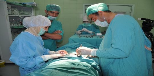 تحدث مرة كل 500 ألف حالة.. مصرية تلد طفلة “حامل”