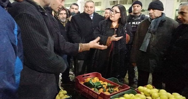 وزيرة التجارة : ارتفاع أسعار بعض المواد غير مبرر