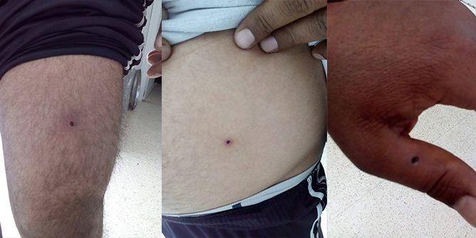 صفاقس: سرقات المواشي باستعمال السلاح واطلاق النار