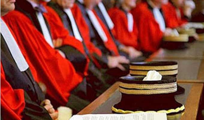 دراسة جديدة حول المرأة في المجلس الأعلى للقضاء