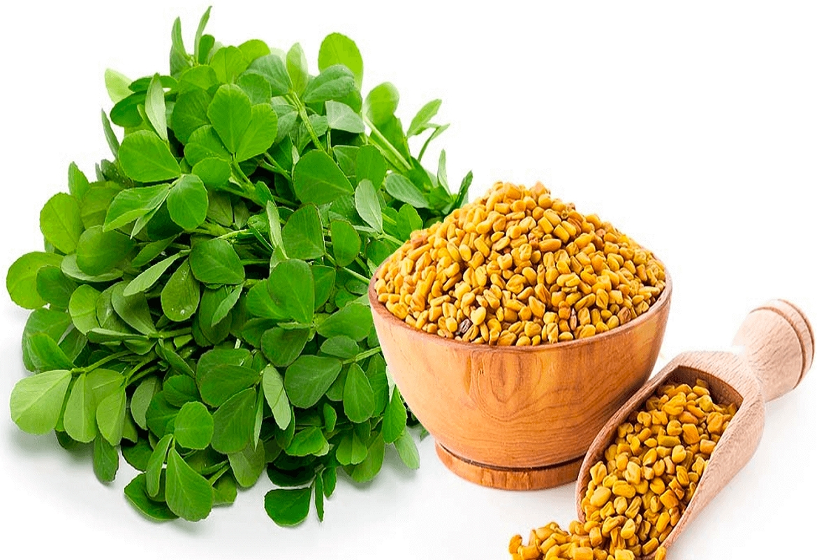 مفعول الفياغرا في عشبة الحلبة