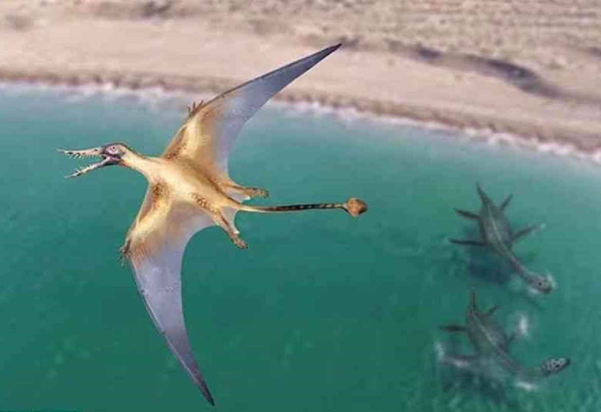 اكتشاف حفرية لتنين طائر جاب الأرض منذ 160 مليون سنة
