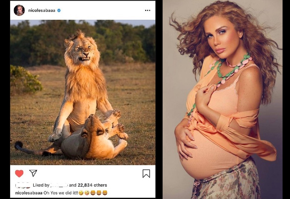 جدل بسبب نشر نيكول سابا صورة لأسد يمارس الجنس مع لبوته