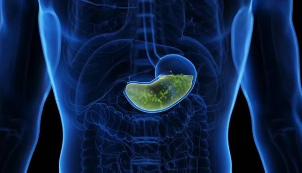 المعدة الخارقة: كيف تحمي نفسها من حمض قوي بما يكفي لإذابة المعادن؟