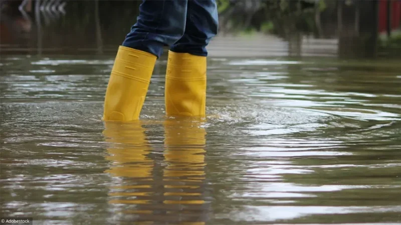 التقلبات الجوية توقف الدراسة بالمهدية… تعليق الدروس بكافة المؤسسات ليوم كامل