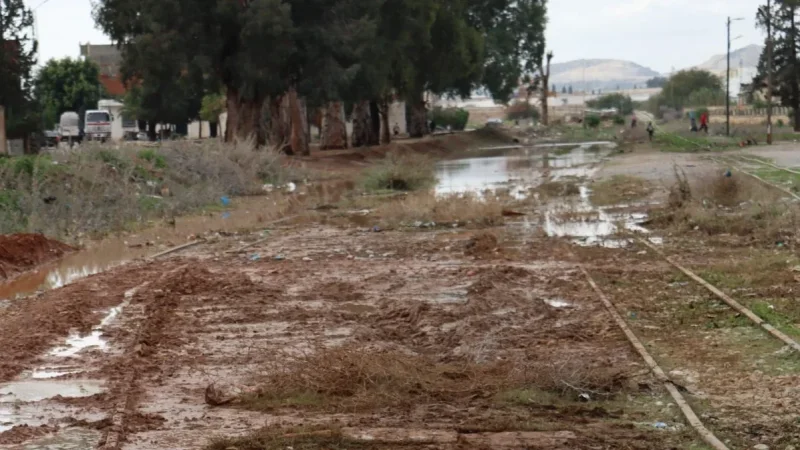 زغوان تغرق: مياه الأمطار تغلق طرقات رئيسية… لجنة الكوارث تحذر المواطنين