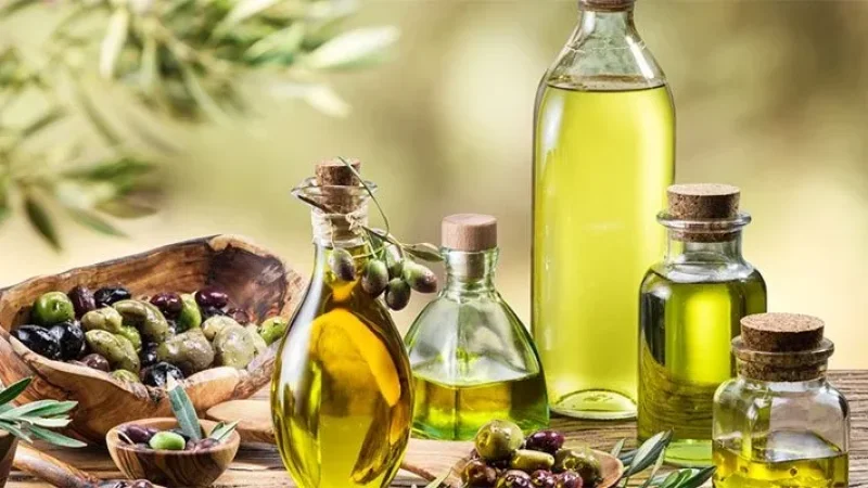 زيت الزيتون التونسي يفتح أبواب الأردن: عقود أولى لتصدير 3000 طن وتوقعات بطفرة في النسق