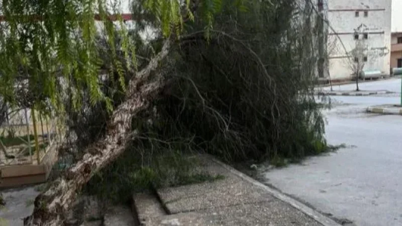 رياح بـ120 كم/س وأمطار غزيرة تُربك الشمال الغربي: تدخلات عاجلة للحماية المدنية بباجة وتحذيرات من الأسوأ