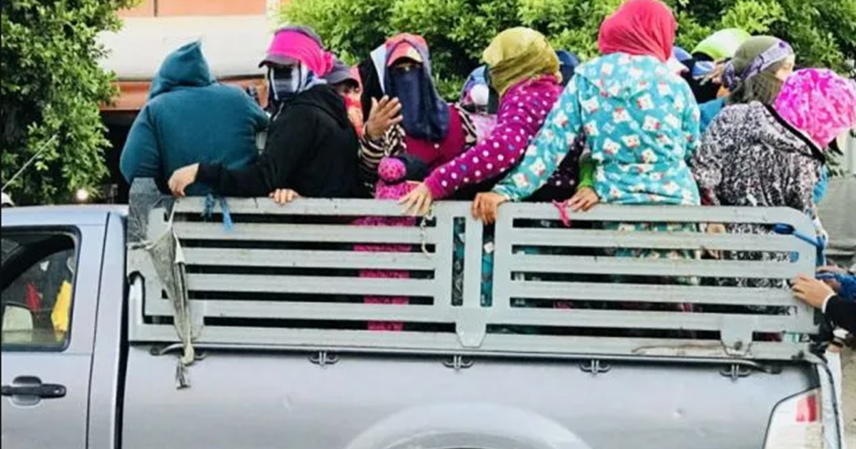 حادث مرور مأساوي في تونس: وفاة امرأة وإصابة أكثر من 25 عاملًا