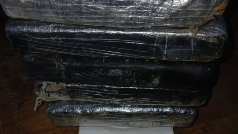 سقوط السمّ الأبيض على الحدود… الديوانة تحبط تهريب 5.5 كلغ من الكوكايين برأس جدير