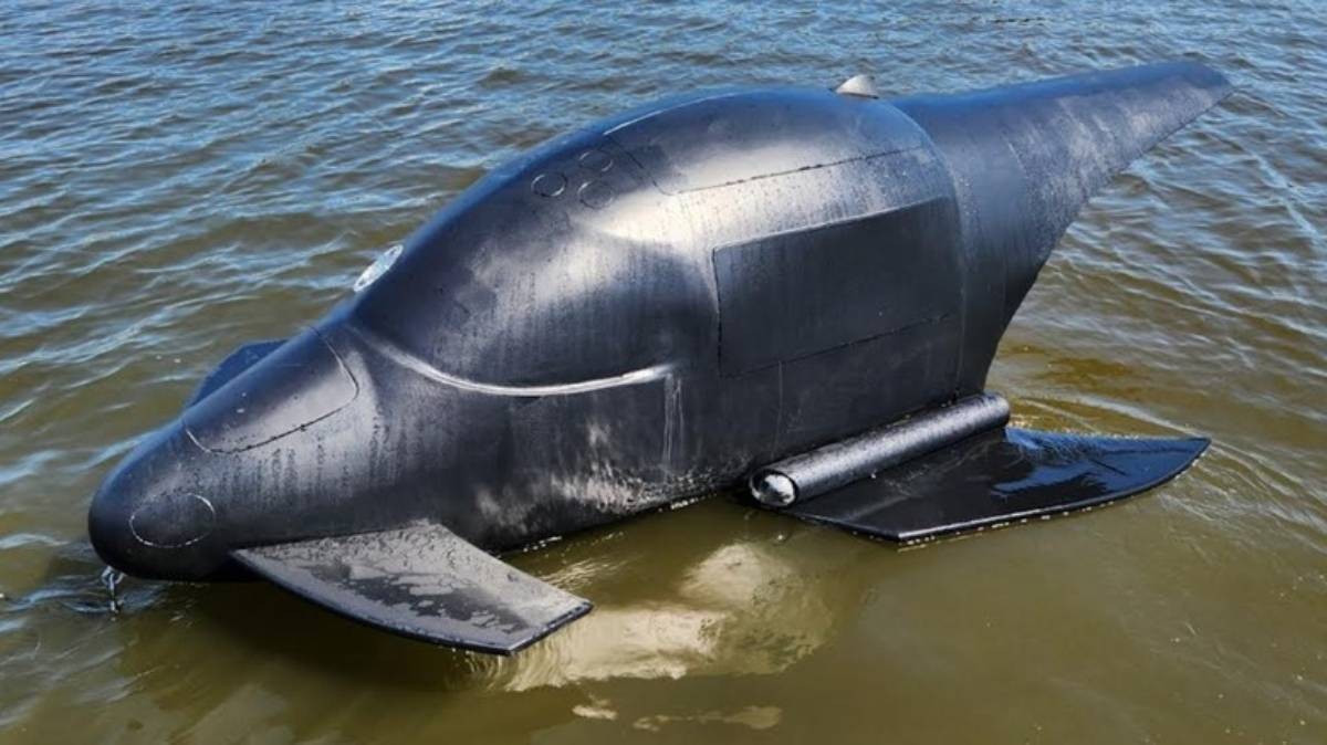 “الحوت القاتل” يتحول إلى سلاح… طائرة بحرية مسيّرة جديدة قد تغيّر موازين الحروب