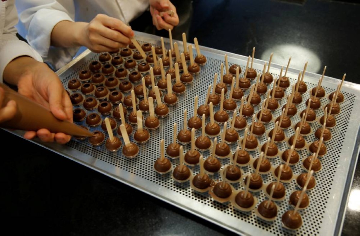 🍫 الشوكولاتة في خطر: الحلوى التي أدمنها العالم... قد تختفي قبل 2050!